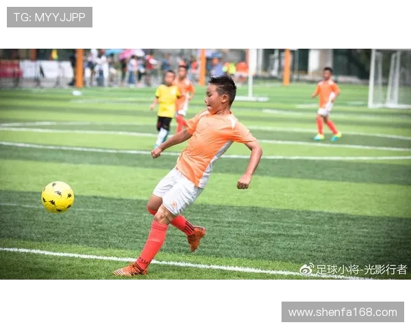 南京足球队在总决赛积分榜上以100分稳居第一名展现强劲实力