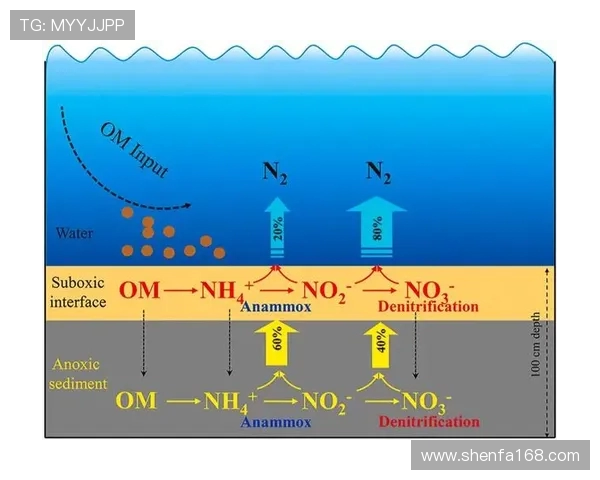 城市赛分析:BLG在耐力赛中的卓越表现与战术深度探讨 城市赛分析:BLG在耐力赛中的卓越表现与战术深度探讨