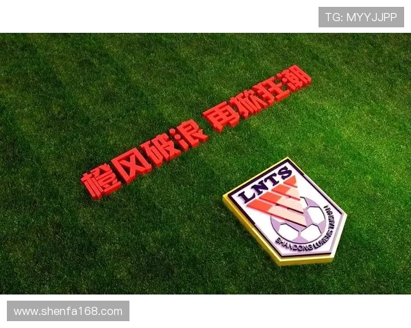 成都排球队奋勇拼搏总决赛背后的艰辛与荣耀之路 成都排球队奋勇拼搏总决赛背后的艰辛与荣耀之路