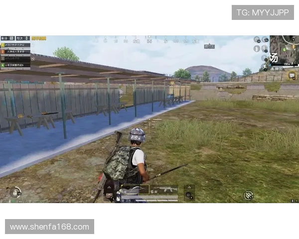 杨强专访揭秘和平精英成功背后的策略与创新之路 杨强专访揭秘和平精英成功背后的策略与创新之路