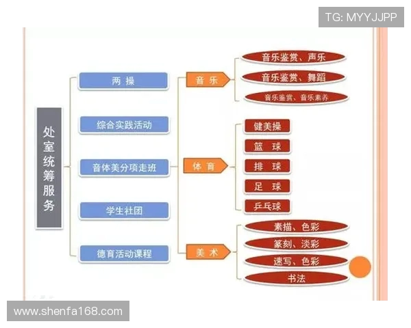 杭州网球队运营体系下的网球战术探讨与实践分析