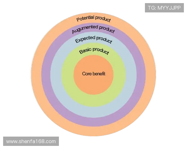 杭州足球队快攻革新之路探索与实践的深度剖析