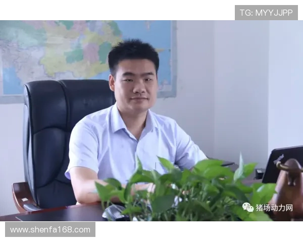 武汉乒乓球队快攻革新之路探秘与未来展望