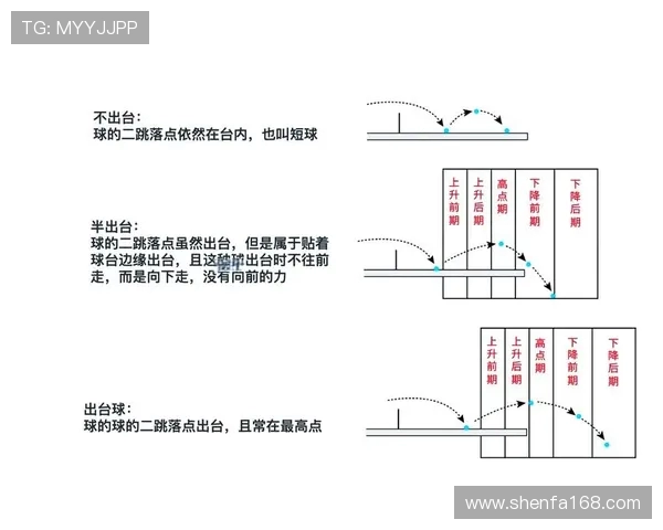 深入分析广州排球队的进攻策略与战术特点