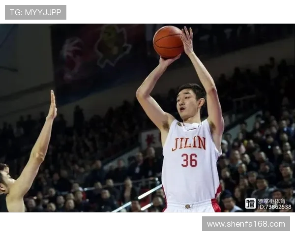 代怀博的成长之路与未来发展展望：从初创到行业领军的蜕变历程