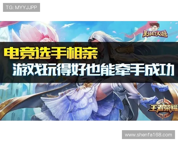 王者荣耀战术解析：WE战队区域防守体系的深度剖析与应用