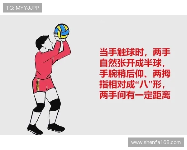成都排球队进攻策略全解析深入探讨排球技术与战术的完美结合